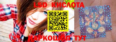 прущие крисы Славгород
