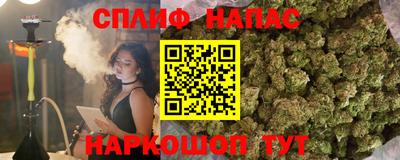 прущие крисы Славгород