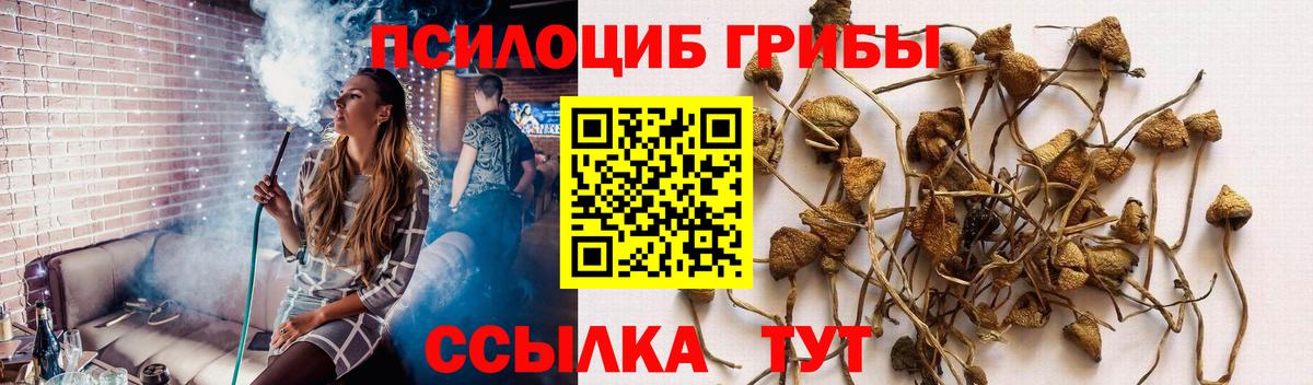 Галлюциногенные грибы Cubensis Ревда